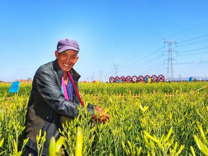 大同乡村振兴研究院